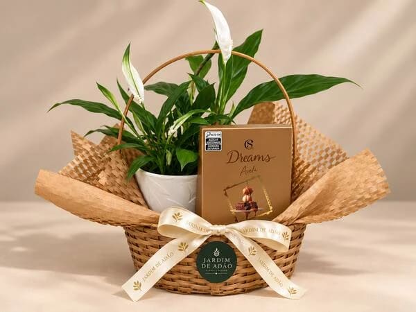 Cesta Jardim de Lírio-da-Paz & Chocolate