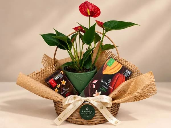 Cesta Jardim de Antúrio & Chocolates